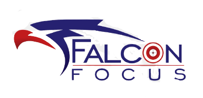 Falcon website